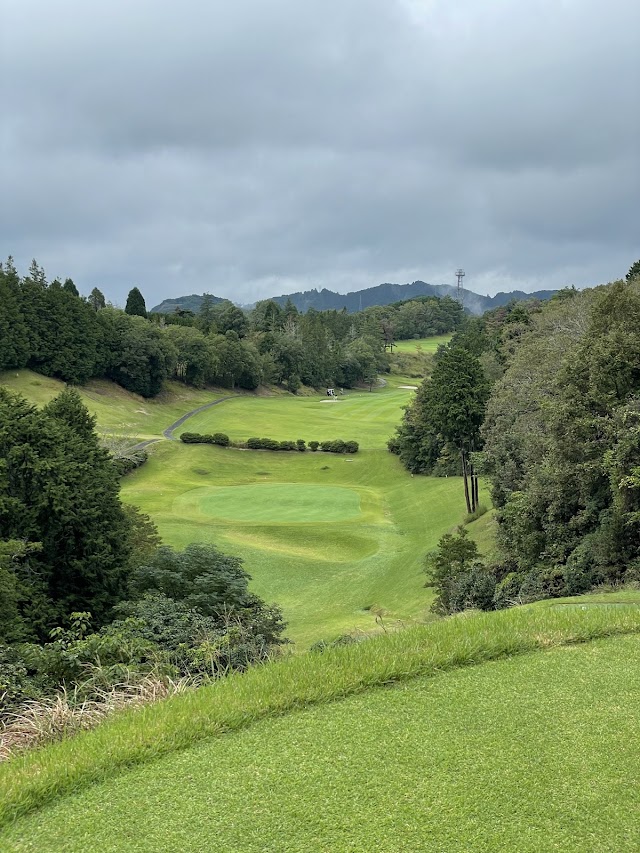 Garland Golf Club - Photo 7