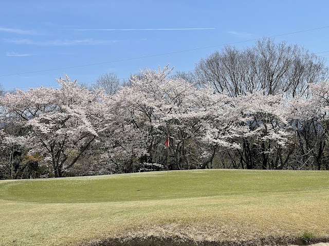 Garland Golf Club - Photo 8