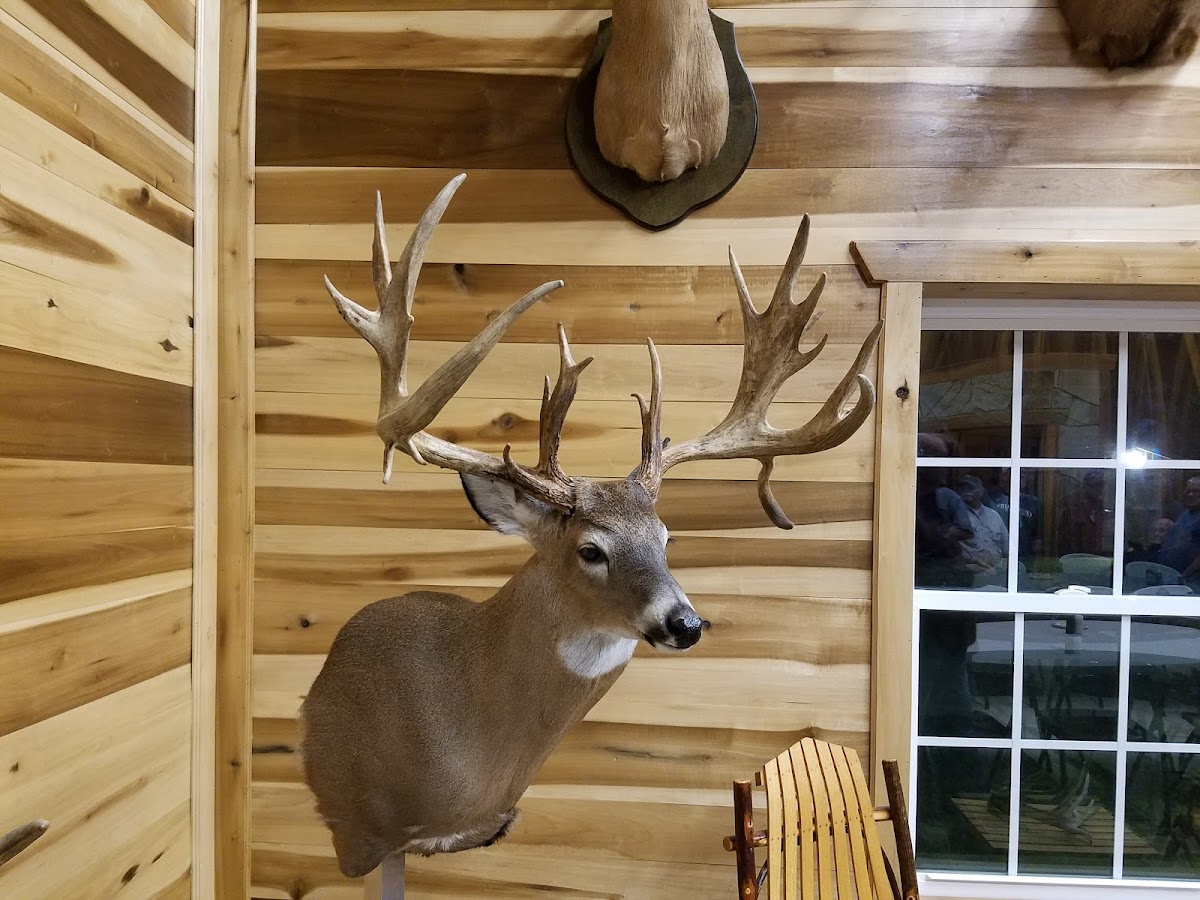 Bontrager Whitetails