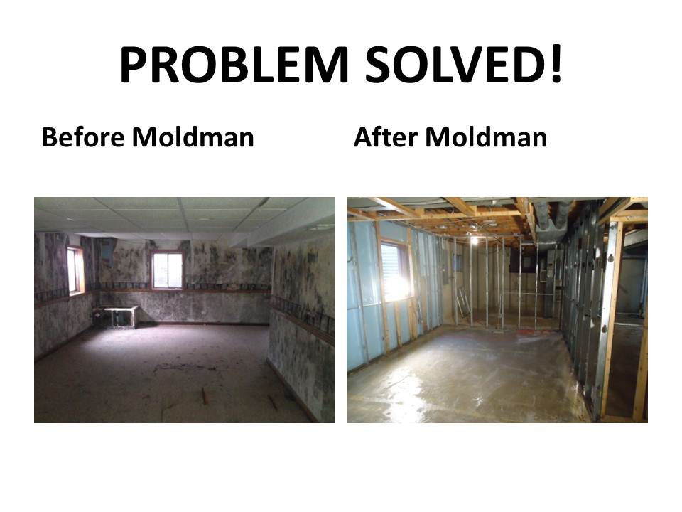 Moldman St. Louis — photo