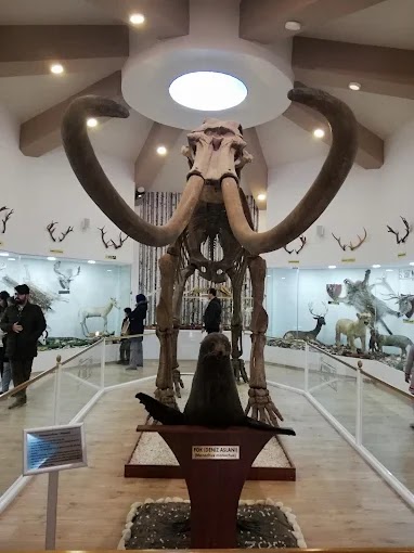 Gaziantep Zooloji Müzesi fotoğraf 1