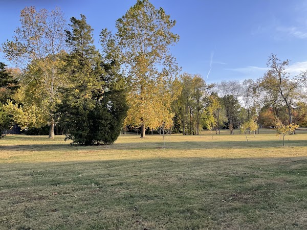 Photo by Anil Waditake