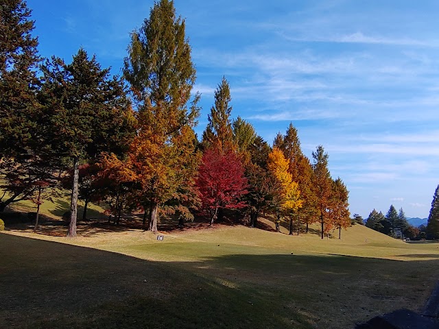 Sun Members Country Club - Photo 9