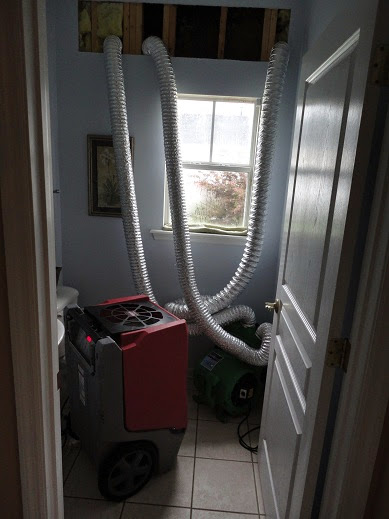 Elements Disaster Recovery — photo