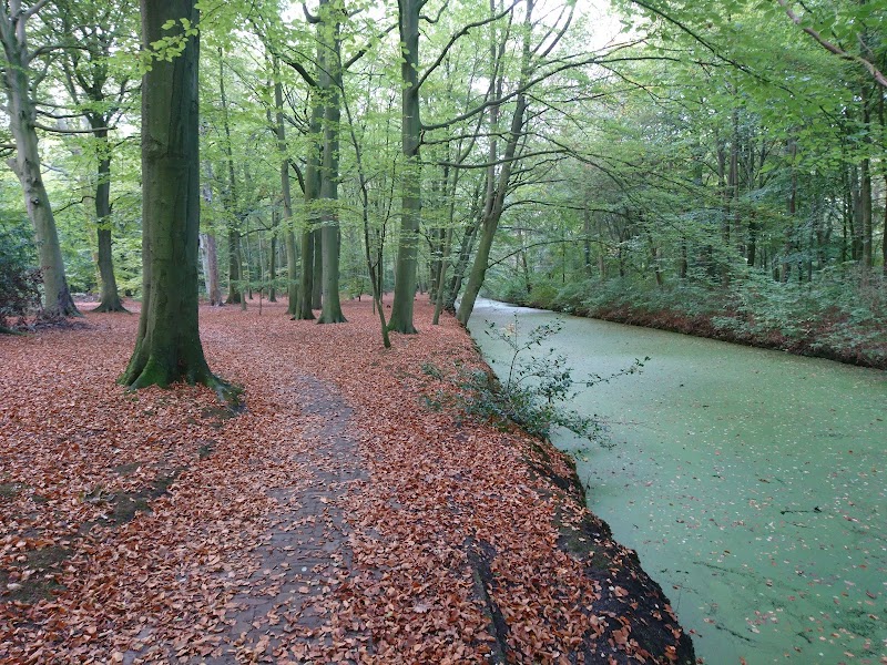 Landgoed Backershagen