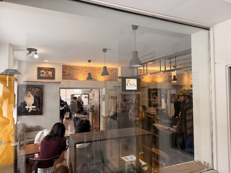 Happy Cat Cafe photo 2