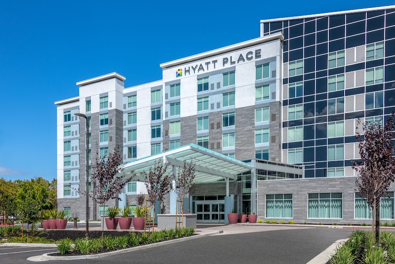 Dog-Friendly Hotel