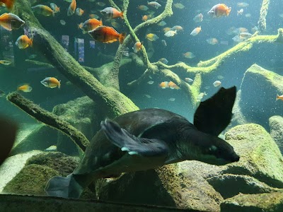 Aquarium
