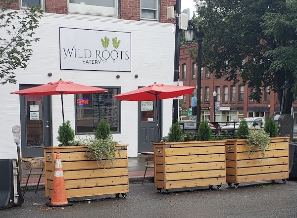 Wild Roots