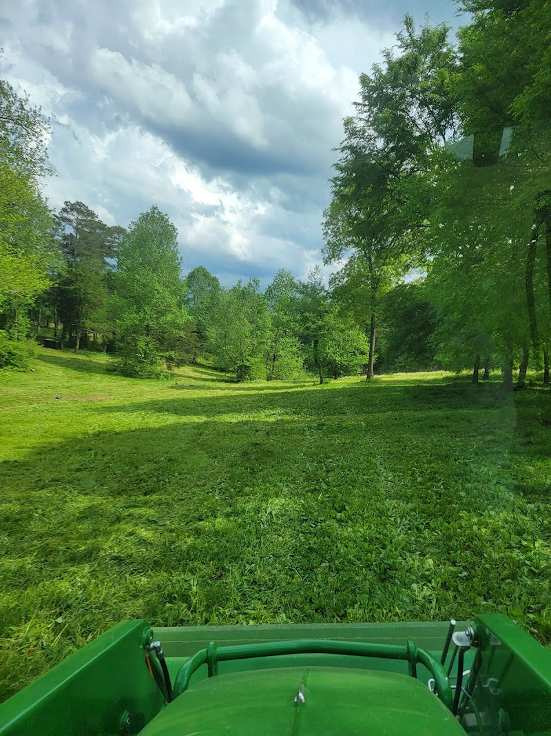 Johnnie Jumper Farm LLC - Photo 6