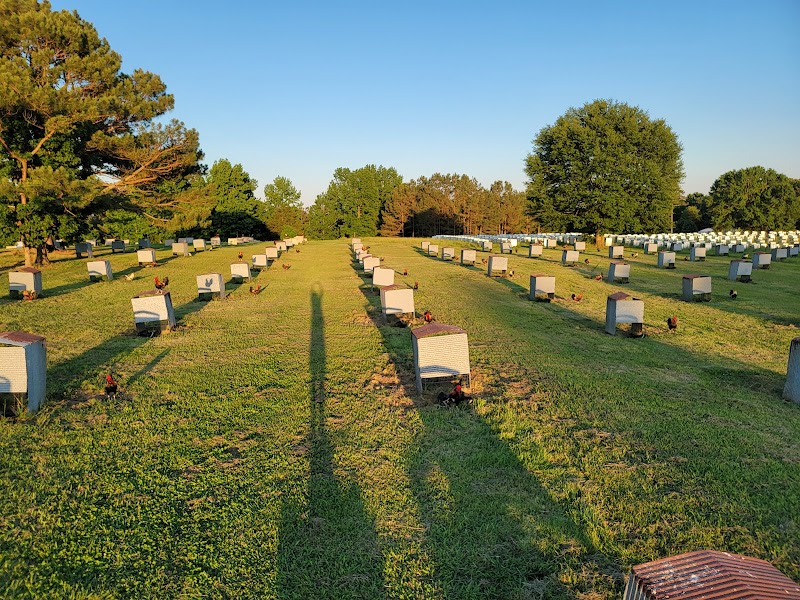 Johnnie Jumper Farm LLC - Photo 1