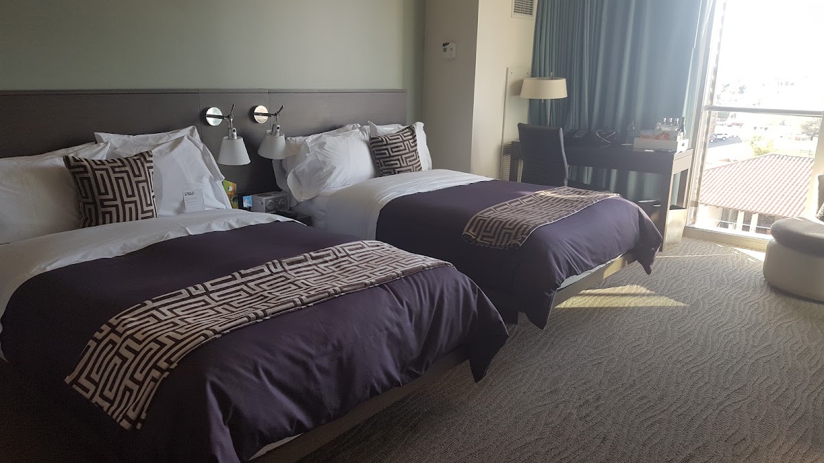 W Scottsdale, dog-friendly hotel, photo 5