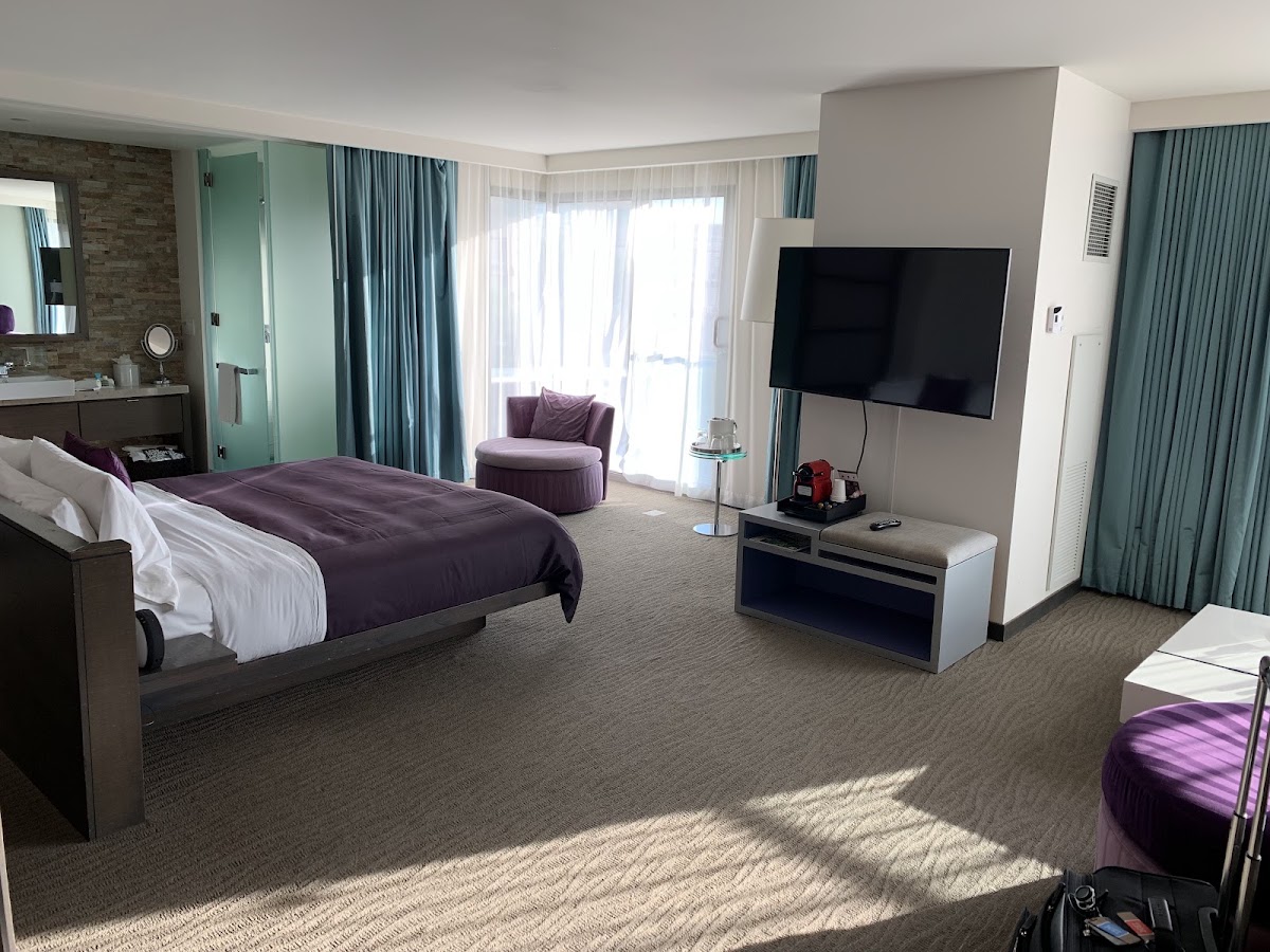 W Scottsdale, dog-friendly hotel