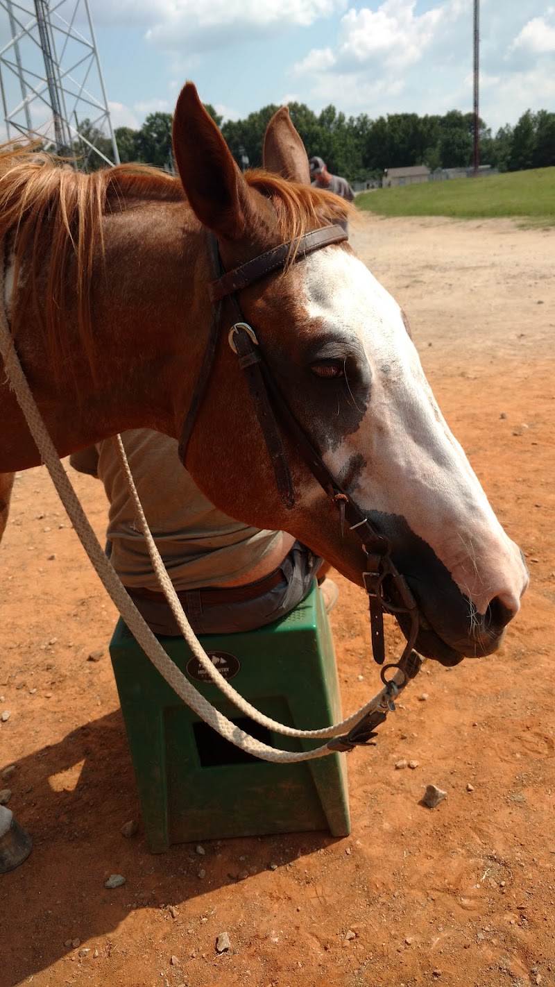 Star HB Farms - Photo 4