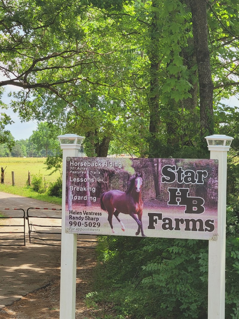 Star HB Farms - Photo 1
