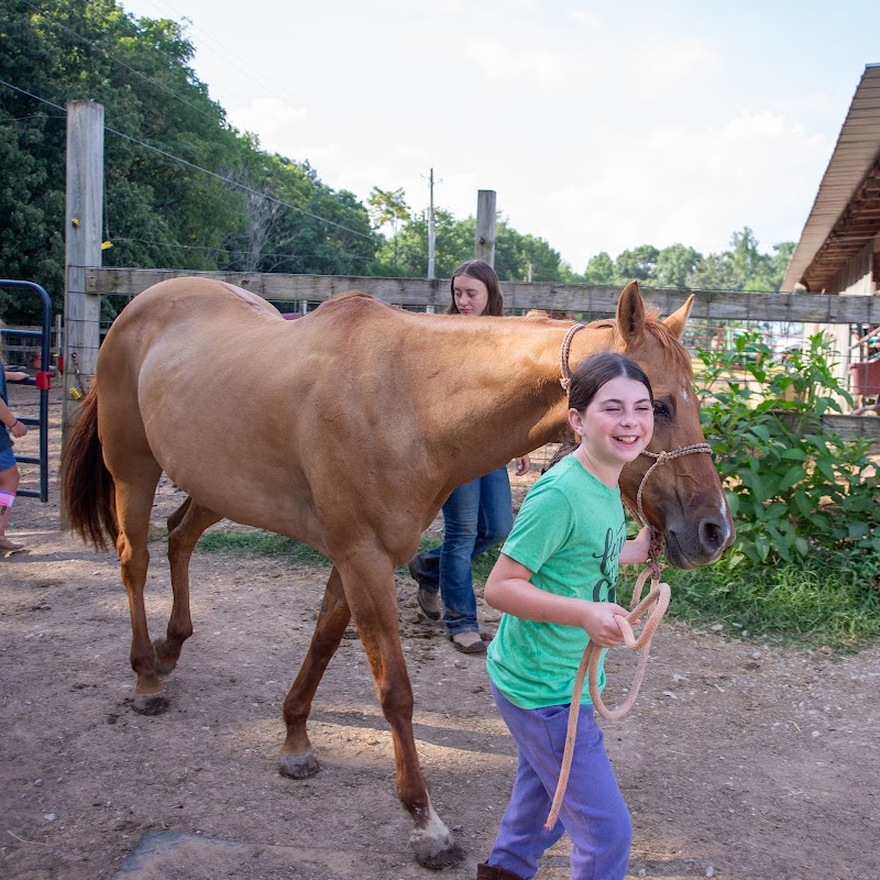 Star HB Farms - Photo 2