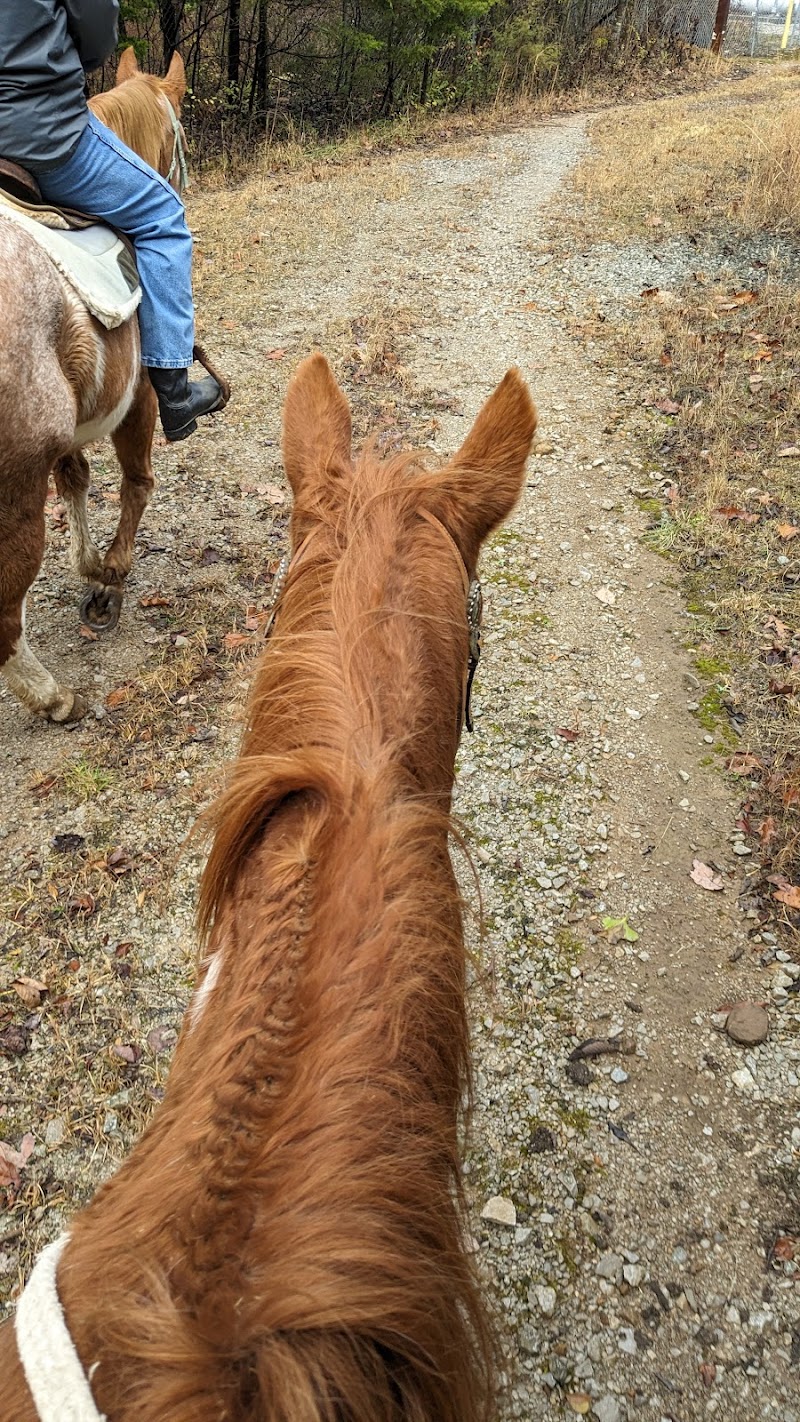 Star HB Farms - Photo 6