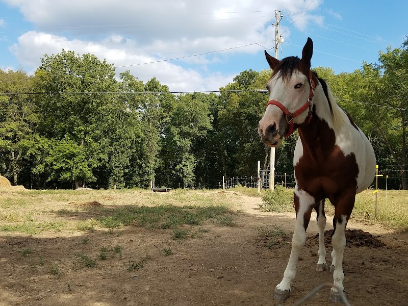 Star HB Farms - Photo 5