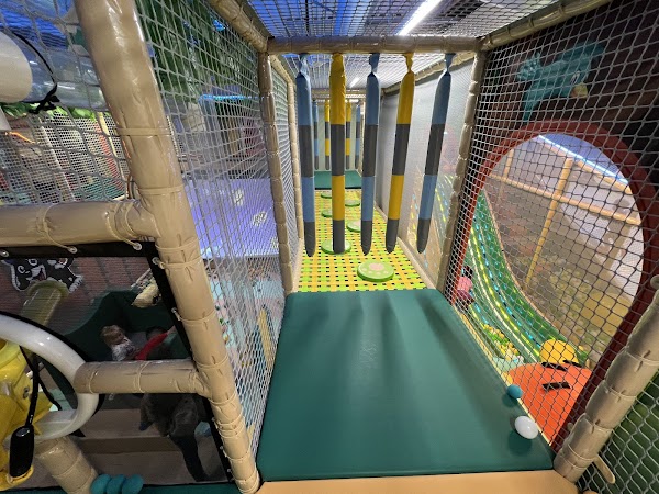 Photo by Tim Jennette