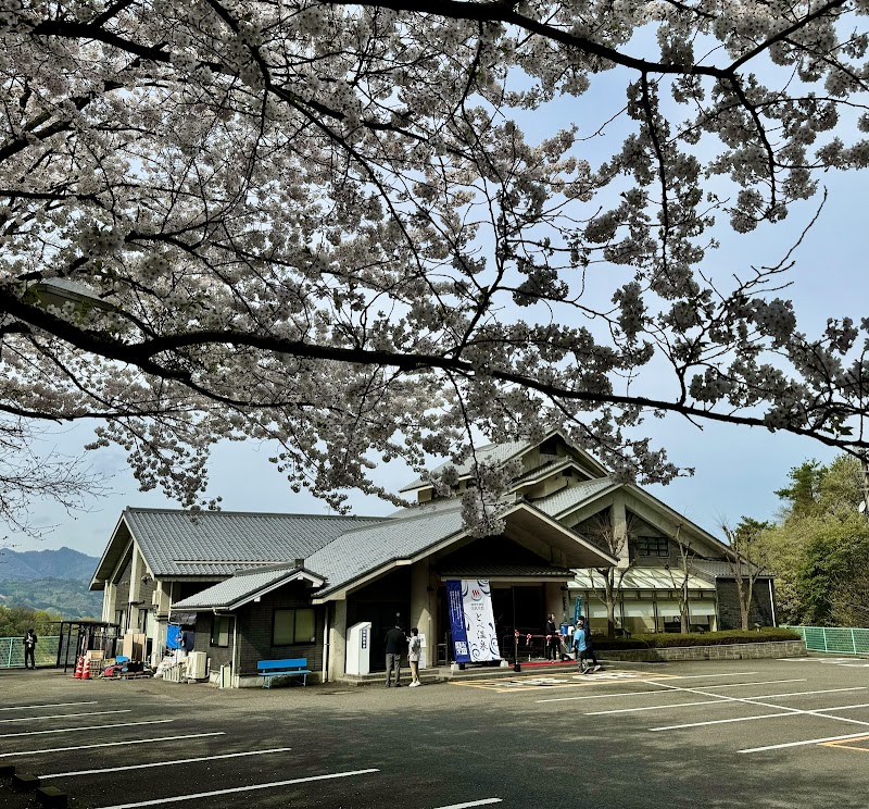SPA P・SPO 湯砥里館 とべ温泉 3