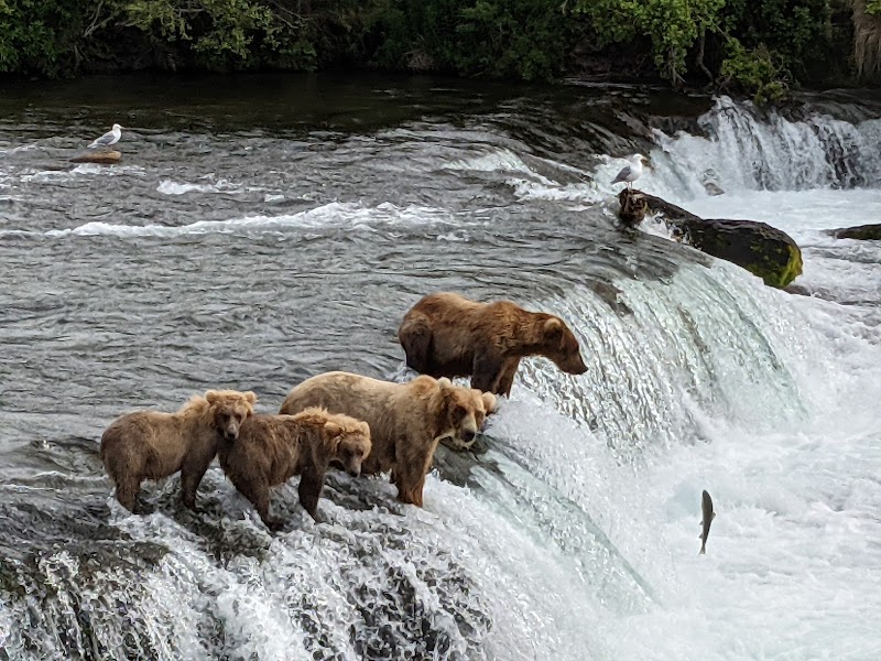 Katmai National Park