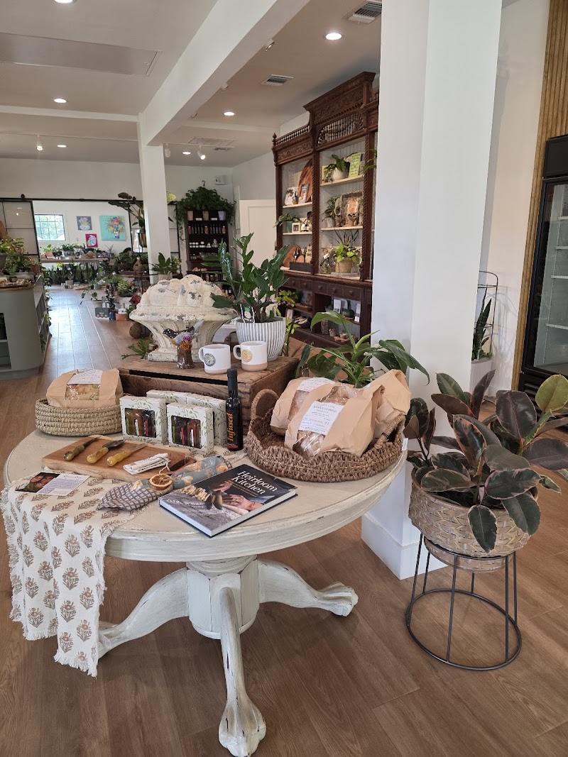 Clementine & Co photo 3