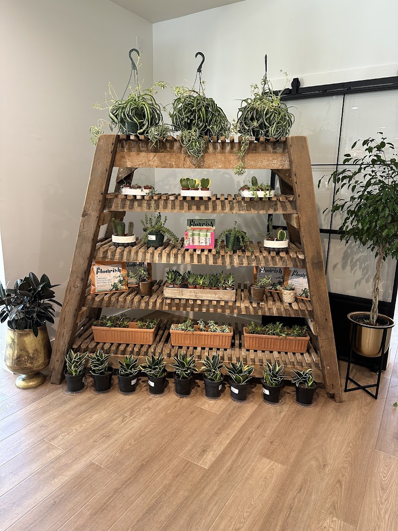 Clementine & Co photo 3