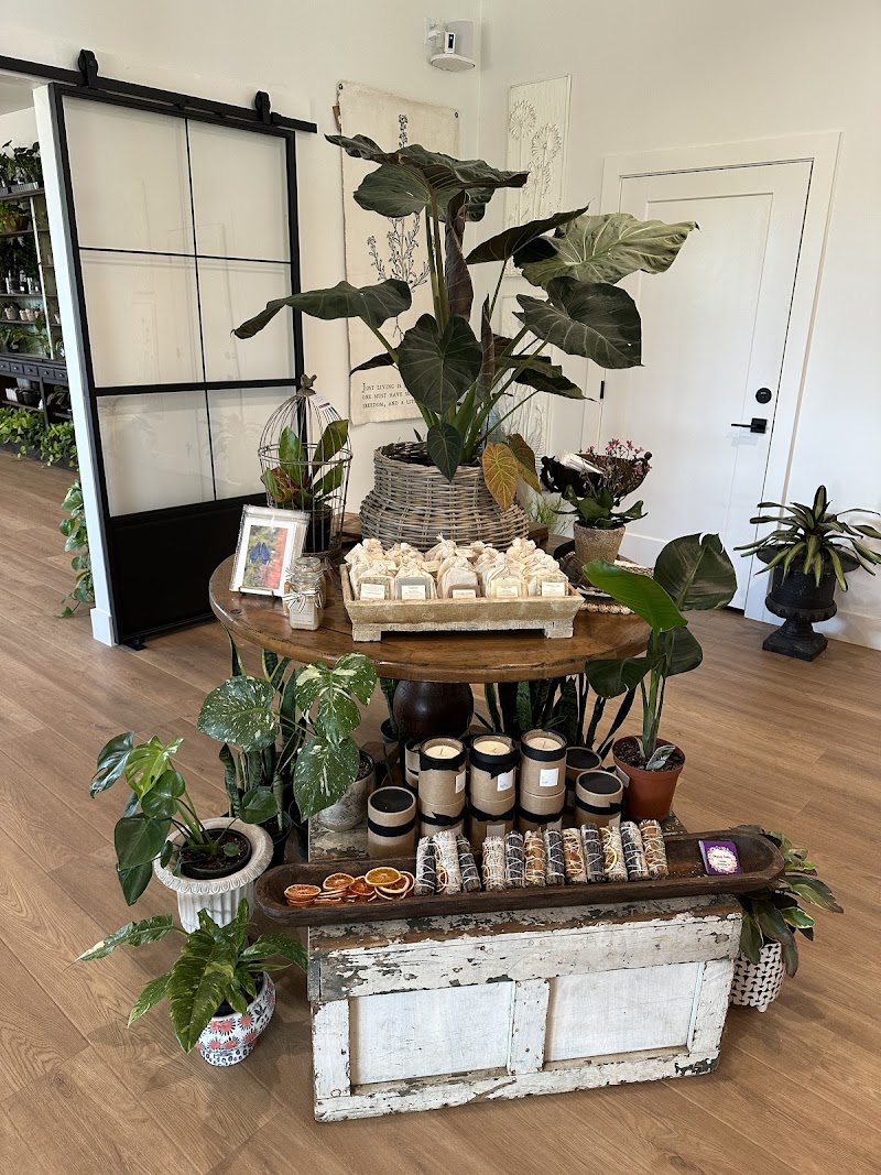 Clementine & Co photo 4