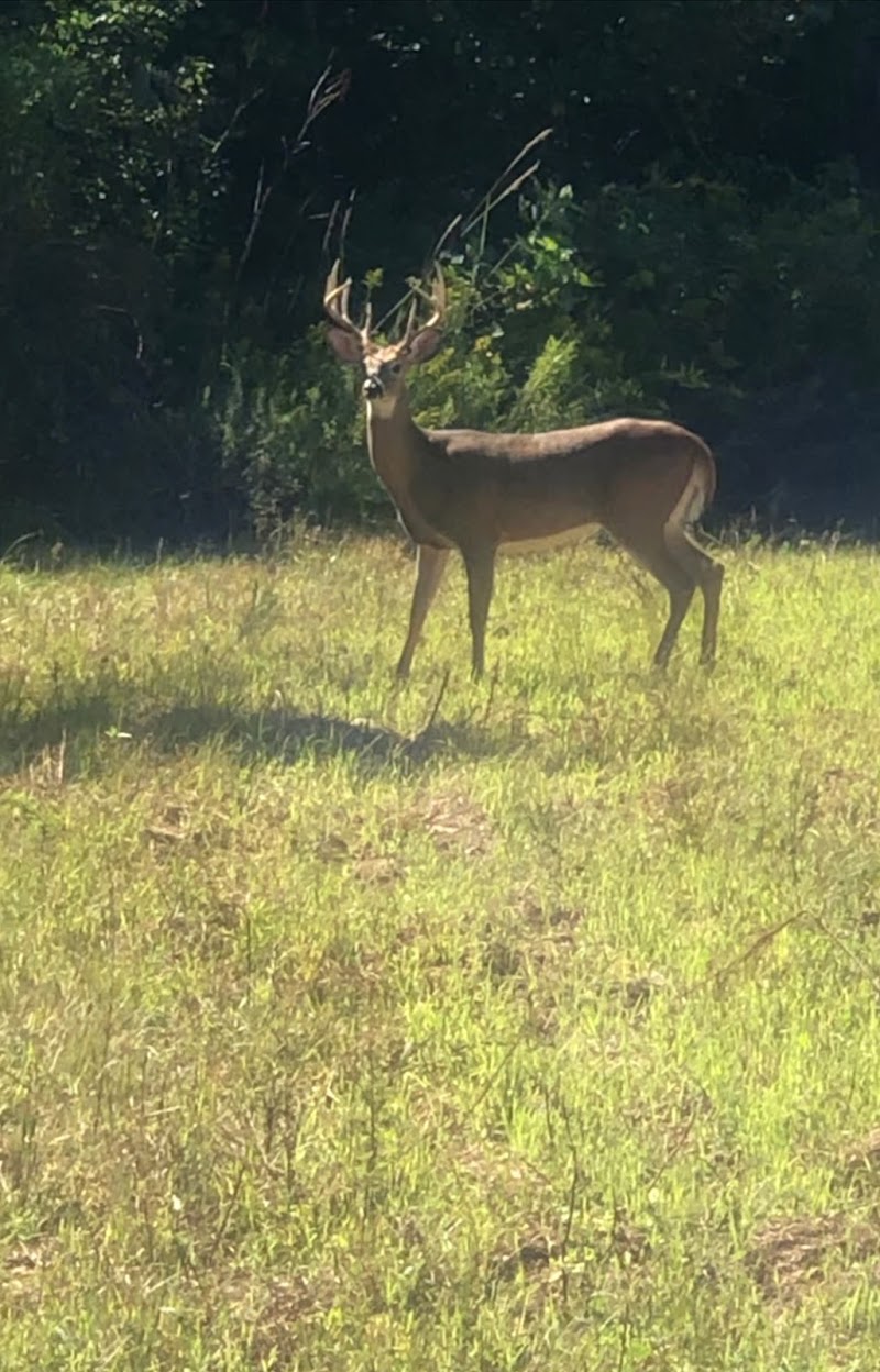 Ranch 160 - Photo 3