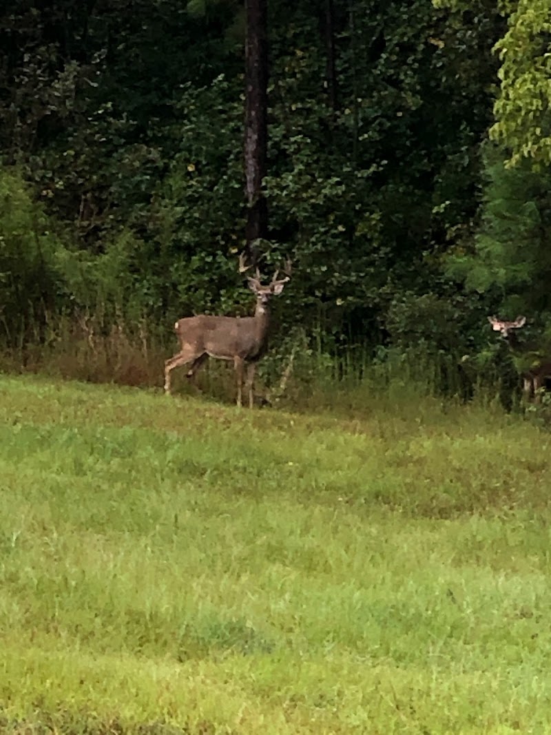 Ranch 160 - Photo 6