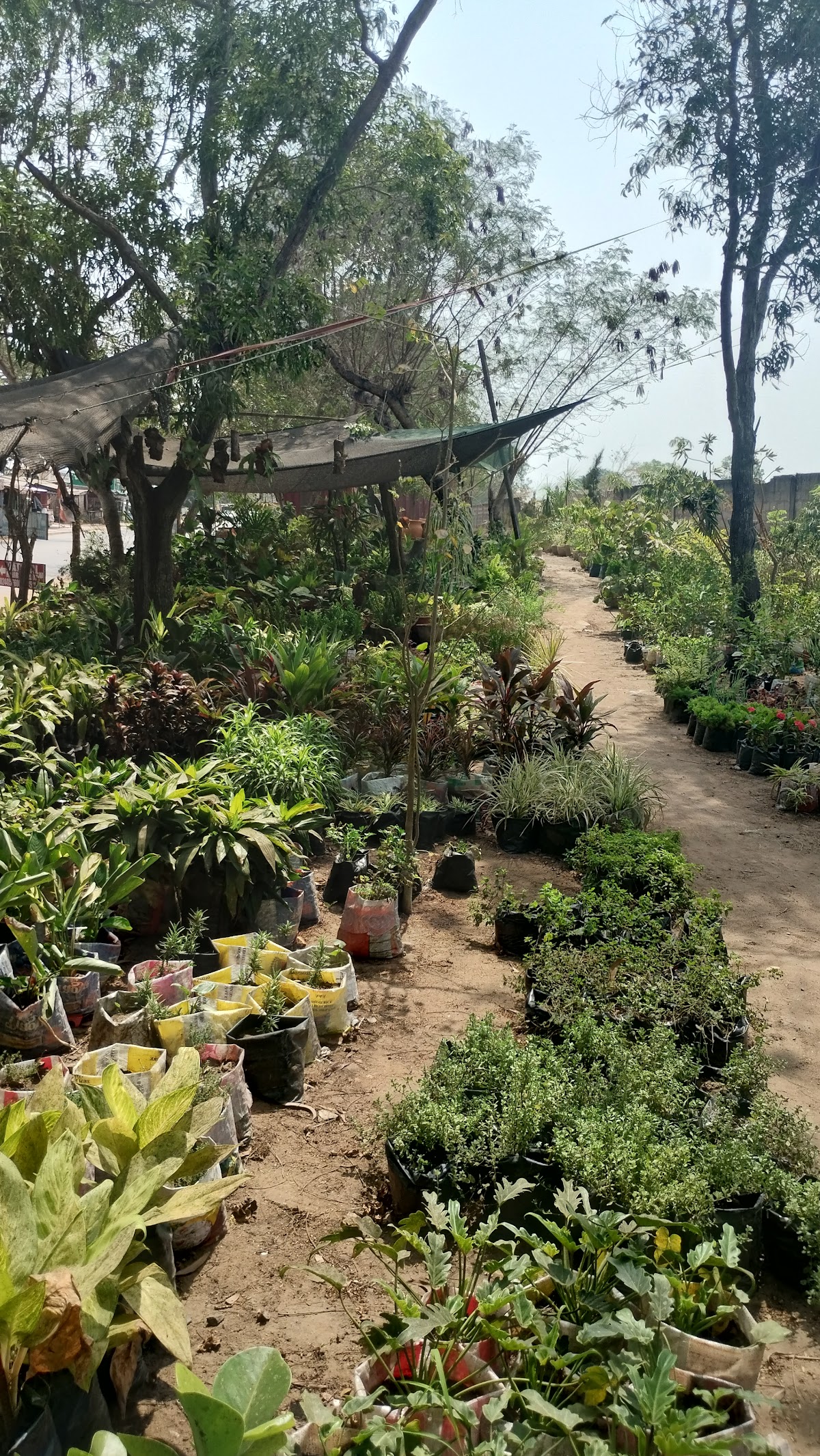Papa Garden Centre
