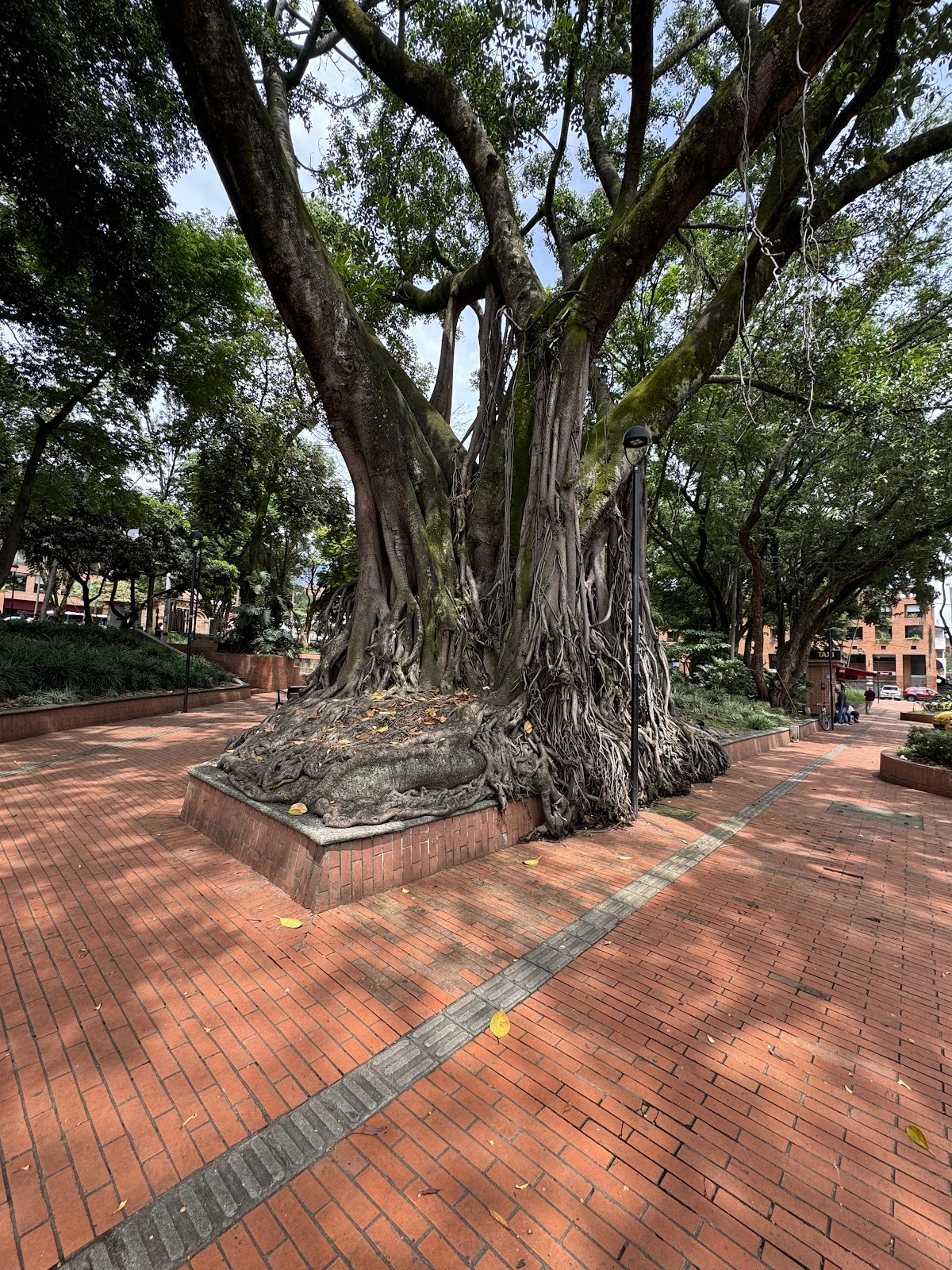 Parque El Poblado