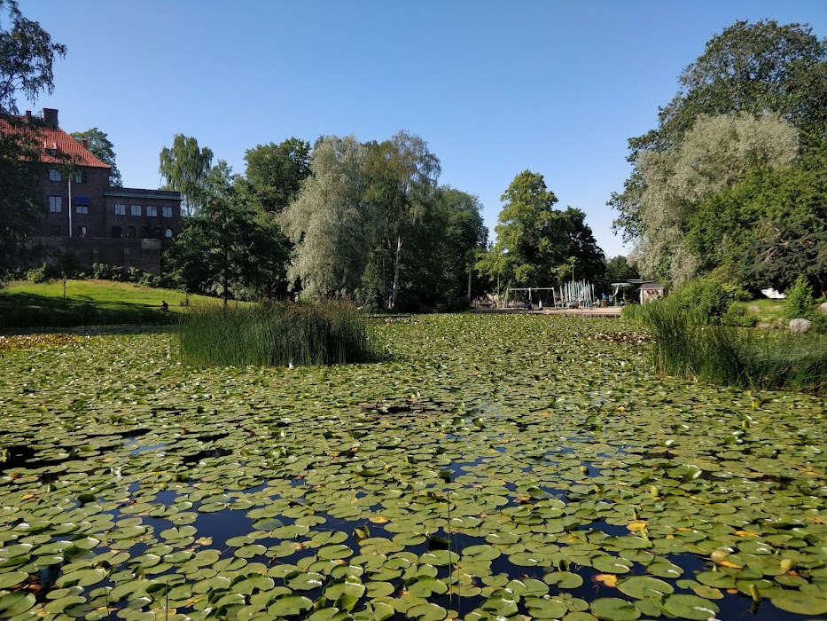 Renström Park fotoğraf 1