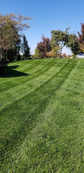 LawnHoppers kc