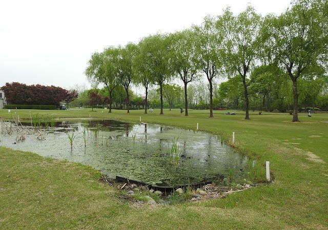 ITADO Public Course - Photo 10