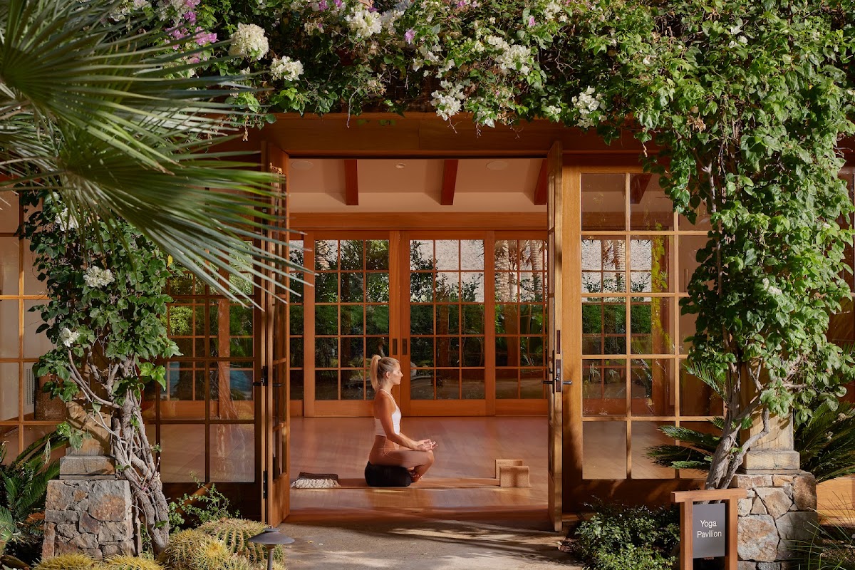 Sensei Porcupine Creek