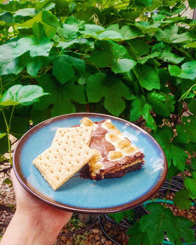 Four Winds Coffee and Tea photo 2