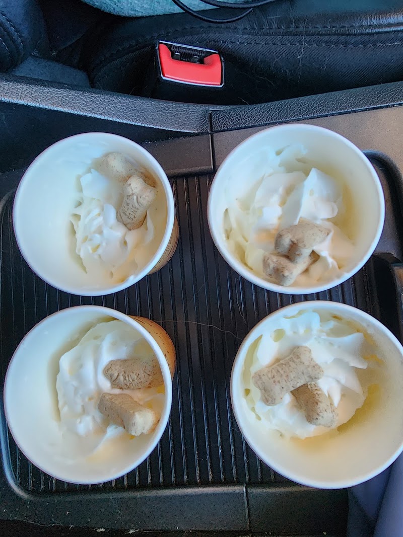 Port City Brew photo 4