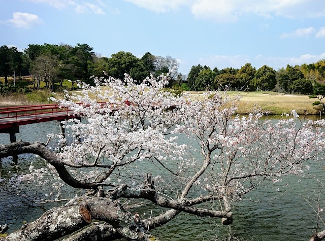 Ise Country Club - Photo 10