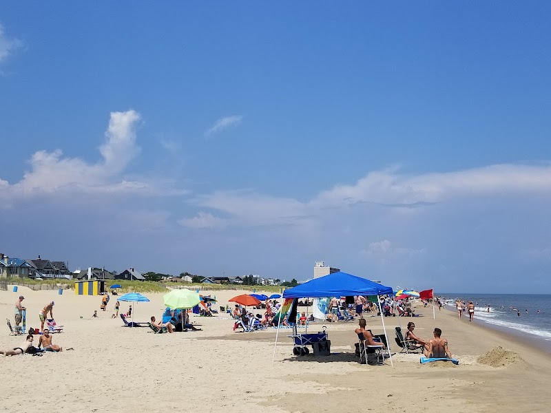 Poodle Beach in Rehoboth Beach