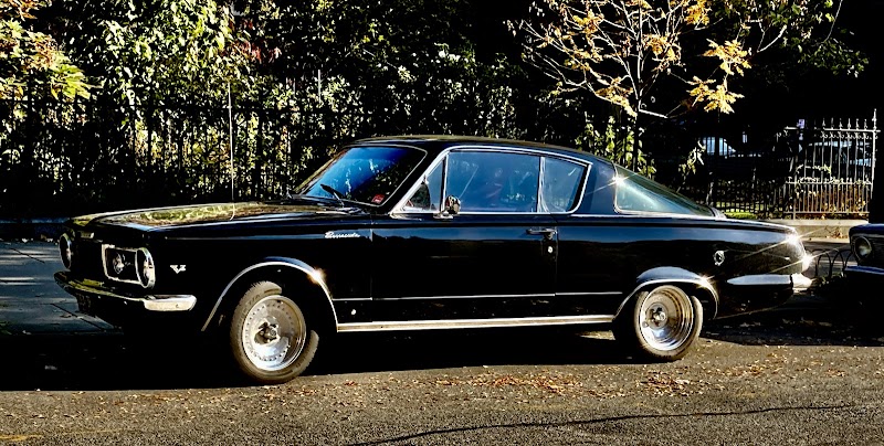 نيلسون للسيارات