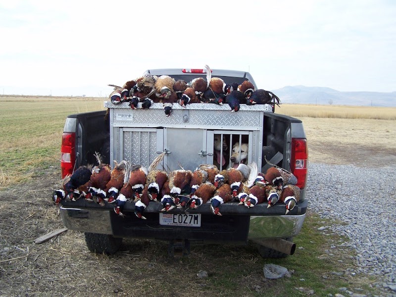 Pheasant Grove Hunting Club - Photo 2