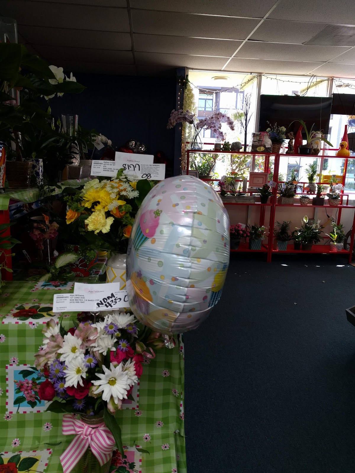City of Flowers: Google Places image 5