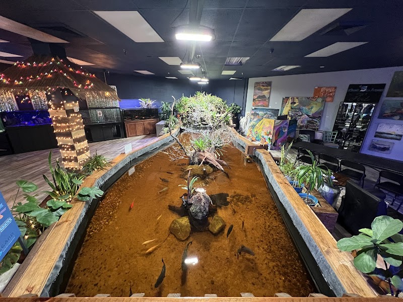 Floating Sea Aquatics photo 3