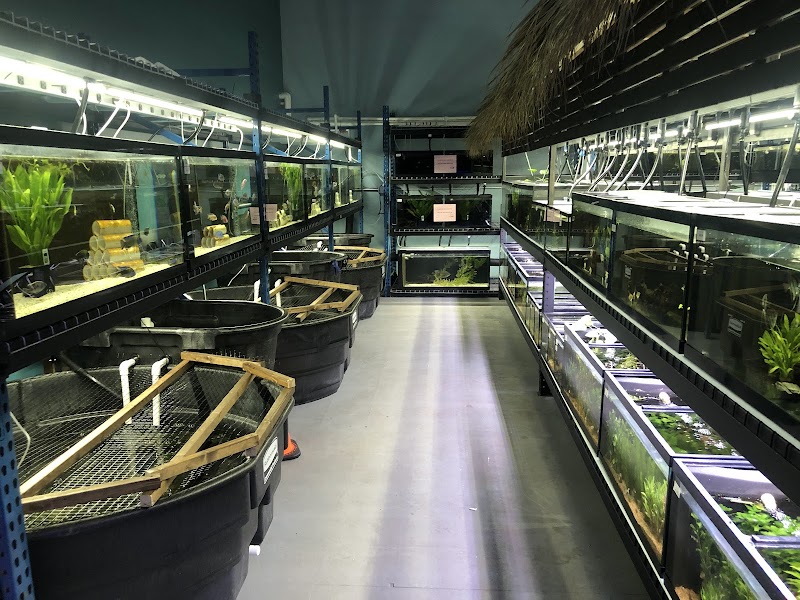 Floating Sea Aquatics photo 4