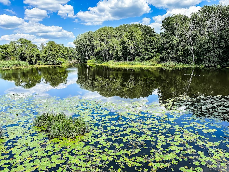 Wilanów Park fotoğraf 1