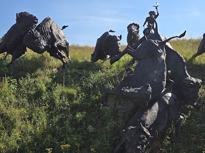 Tatanka Story of Bison