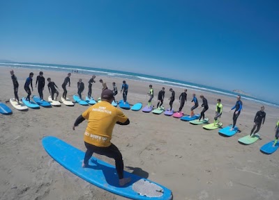 Hawkes bay surf school