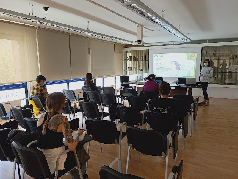 Colegio Oficial de Veterinarios de Girona