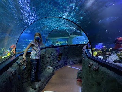 LEGOLAND ATLANTIS by SEA LIFE